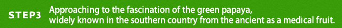 ＳＴＥＰ3 Approaching to the fascination of the gree papaya,widely known in the southern country from the ancient as a medical fruit.