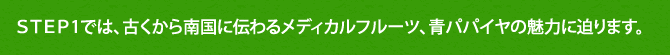 ＳＴＥＰ1では、古くから南国に伝わるメディカルフルーツ、青パパイヤの魅力に迫ります。