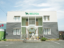 Dog Salon BELUGA